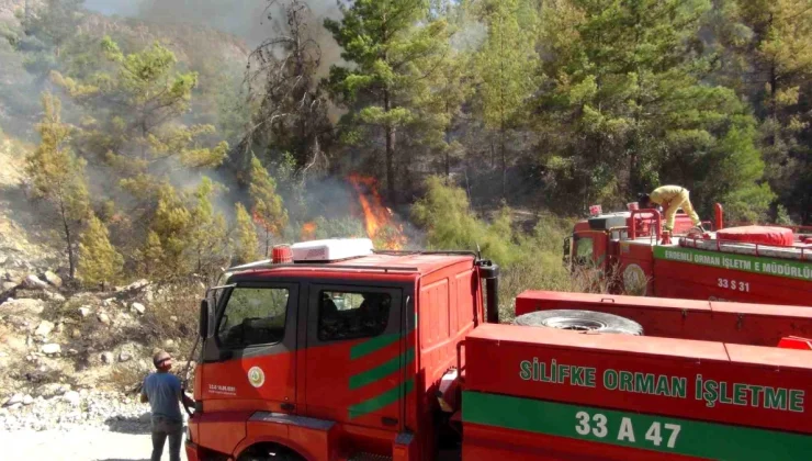 Silifke’de çıkan yangın kontrol altına alındı