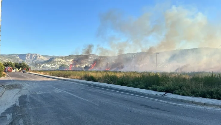 Silifke’de çıkan yangın söndürüldü