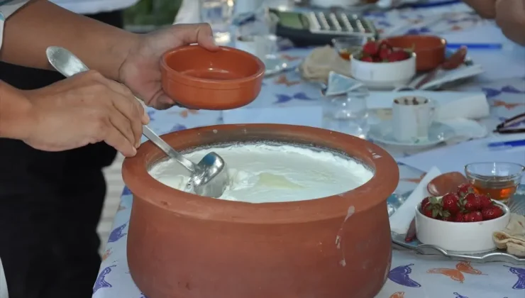 Silifke Yoğurdu Yarışması Renkli Görüntülere Sahne Oldu